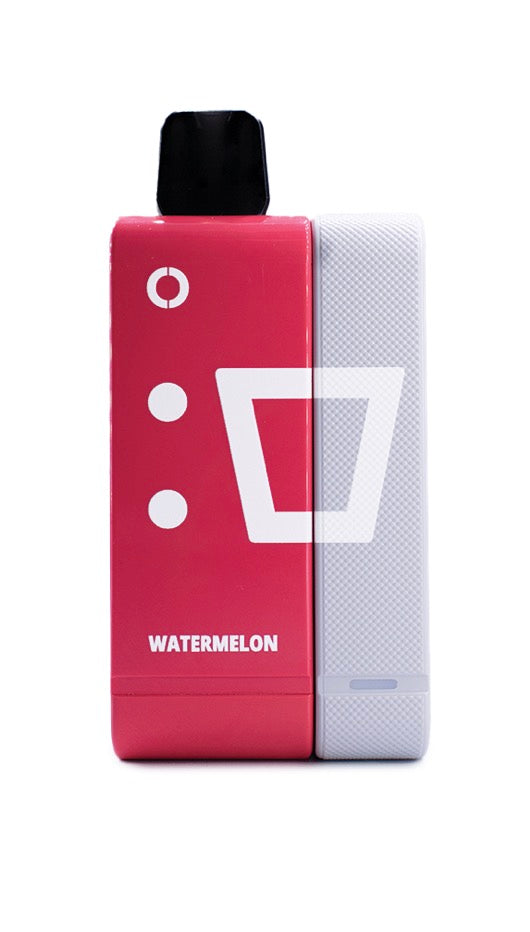 ELF Rechargeable Pod Kit