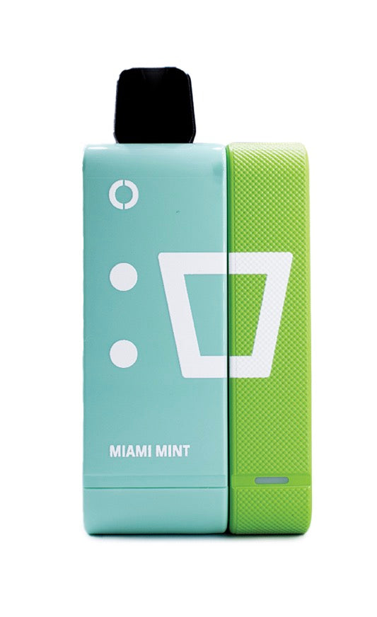 ELF Rechargeable Pod Kit