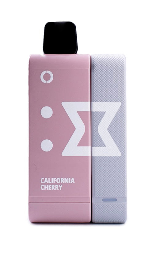 ELF Rechargeable Pod Kit